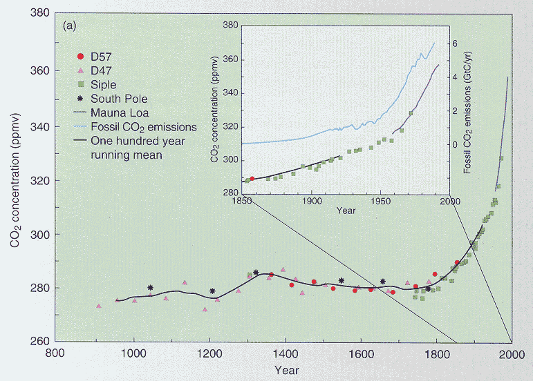 co2l.gif (94285 bytes)