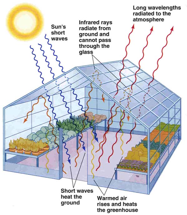 Self Regulating Systems